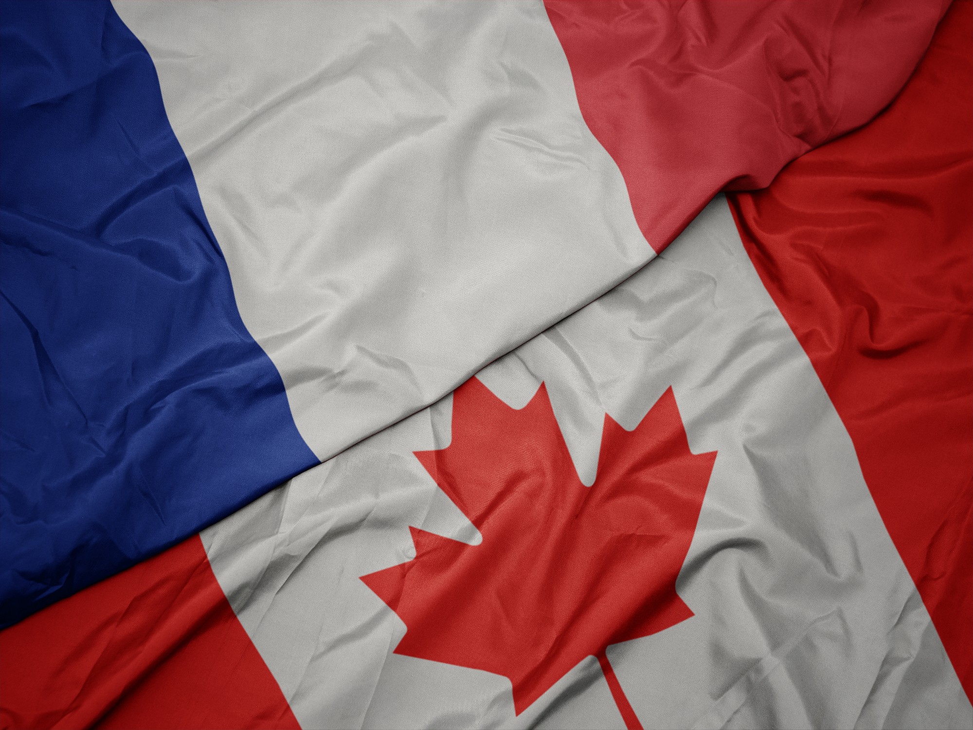Pour contrer le déclin du français, le Canada mise sur l’immigration